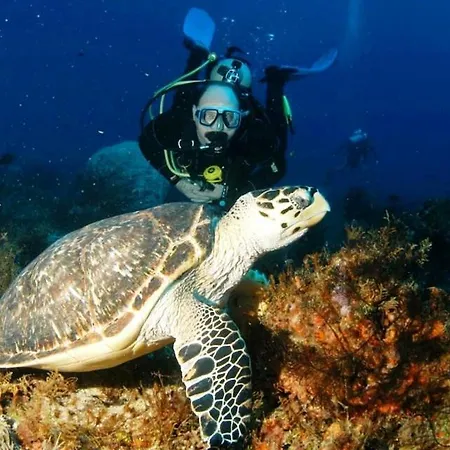 104 Excellent 2 Bed With Pool View, Ac & Gym! Perivolia