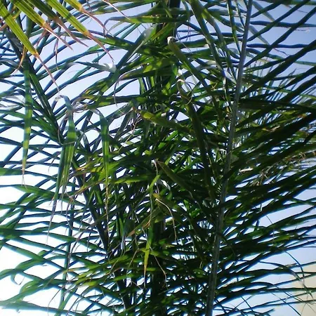 Apartamento 104 Excellent 2 Bed With Pool View, Ac & Gym! *