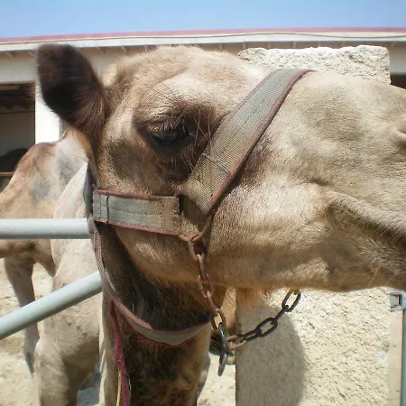 104 Excellent 2 Bed With Pool View, Ac & Gym! * Perivolia