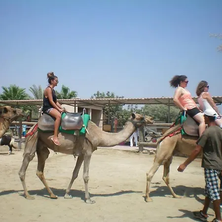 104 Excellent 2 Bed With Pool View, Ac & Gym! * Perivolia