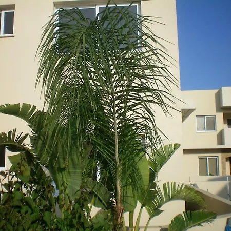 Appartement 104 Excellent 2 Bed With Pool View, Ac & Gym!