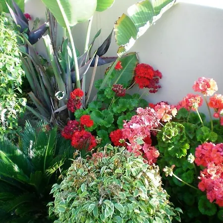 Apartamento 104 Excellent 2 Bed With Pool View, Ac & Gym!