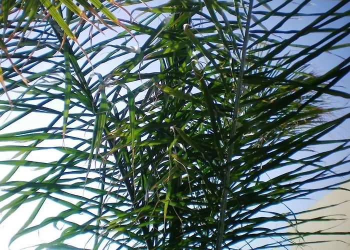 アパート 104 Excellent 2 Bed With Pool View, Ac & Gym! *