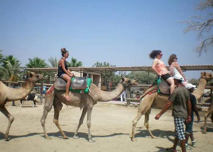 104 Excellent 2 Bed With Pool View, Ac & Gym! * ペリヴォリア