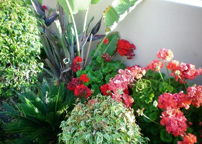 アパート 104 Excellent 2 Bed With Pool View, Ac & Gym!